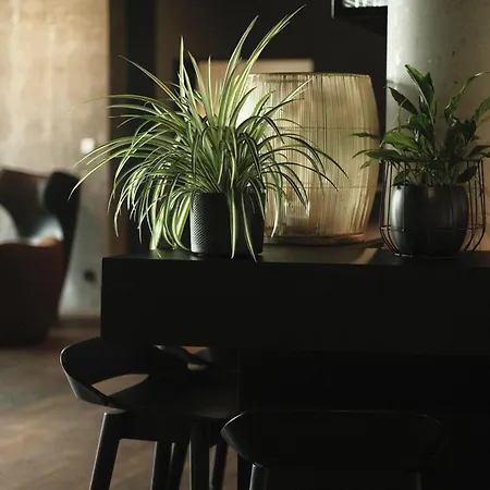 Hotel Fritz Lauterbad 4*