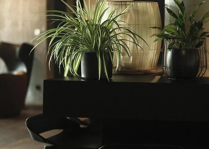 فندق Fritz Lauterbad 4*